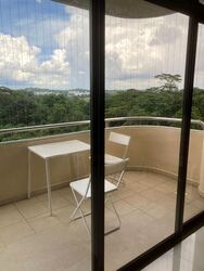 Allsworth Park (D10), Condominium #460819731